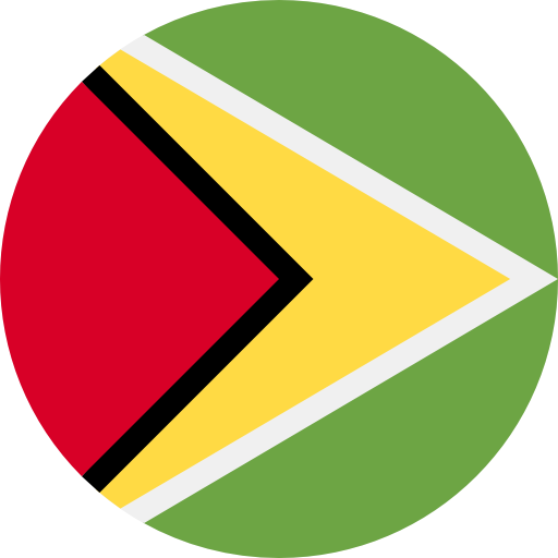 Guyana Telefonnummer Validering Kjøp Telefonnummer